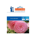 ریاضی نهم آبی قلم چی